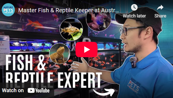 Expert Care | Aquarium & Pond Fish, Reptiles, & Aquatic Creatures.