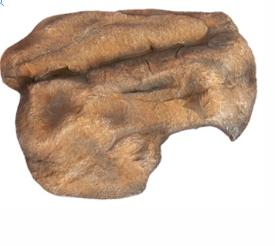 Reptile One Dyno Rock Hide Rock For Pythons - Large 45.3x41.6x11cm ...