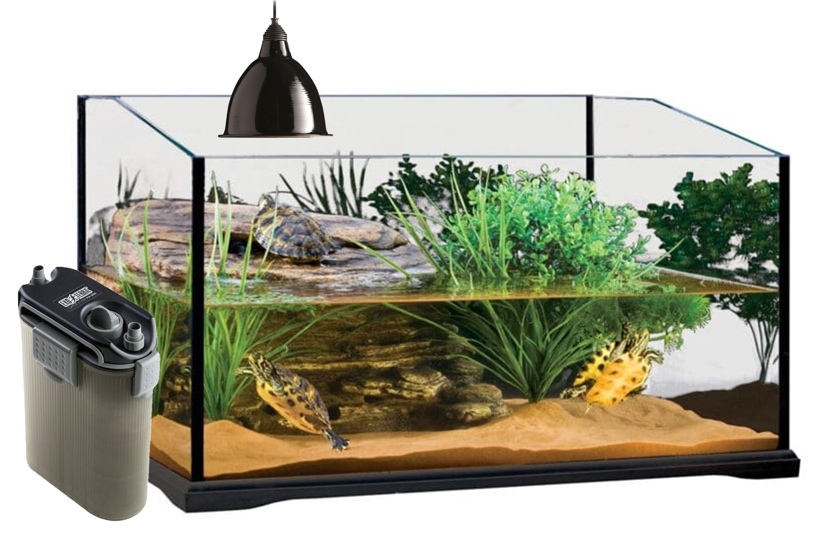 Tiny turtle shops tank