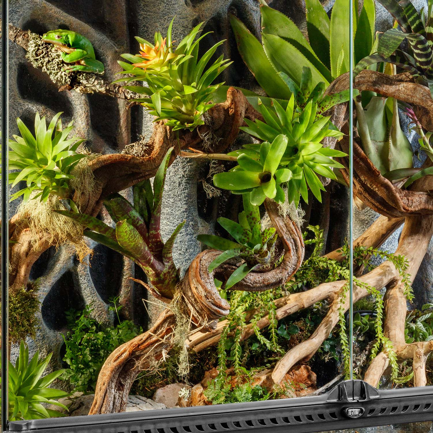 Stunning Reptile Terrariums image